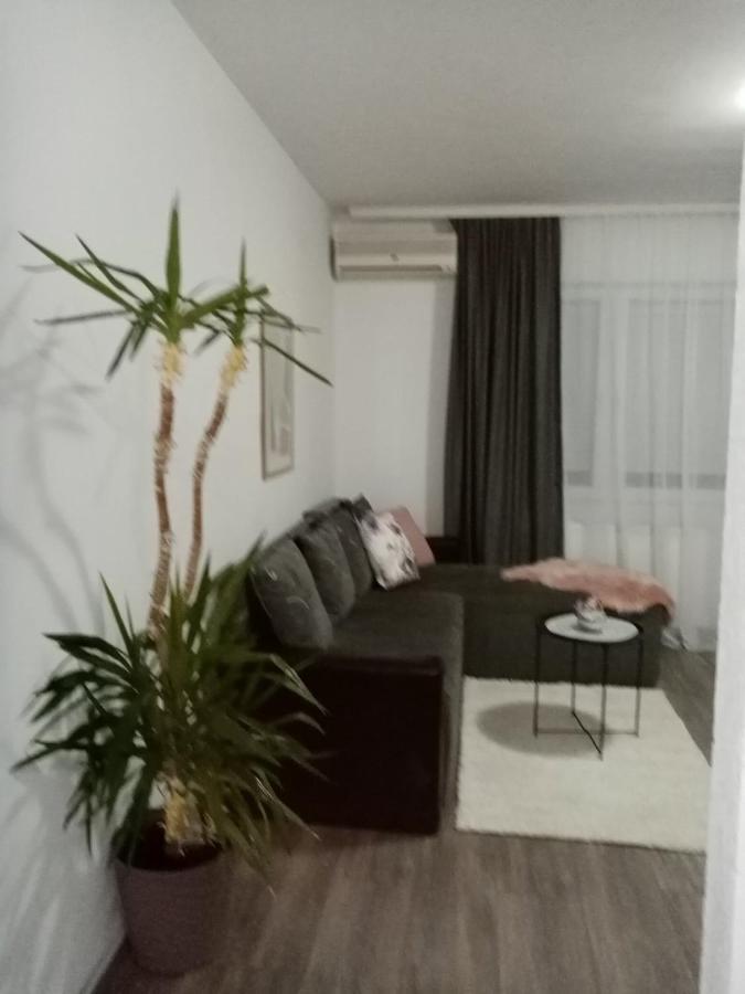 Apartman Aleksic Jagodina Exterior photo
