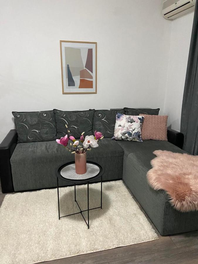 Apartman Aleksic Jagodina Exterior photo